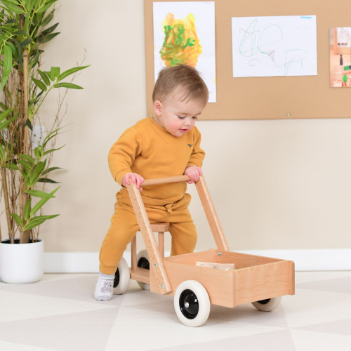 Ride On and Pulling Cart Collection