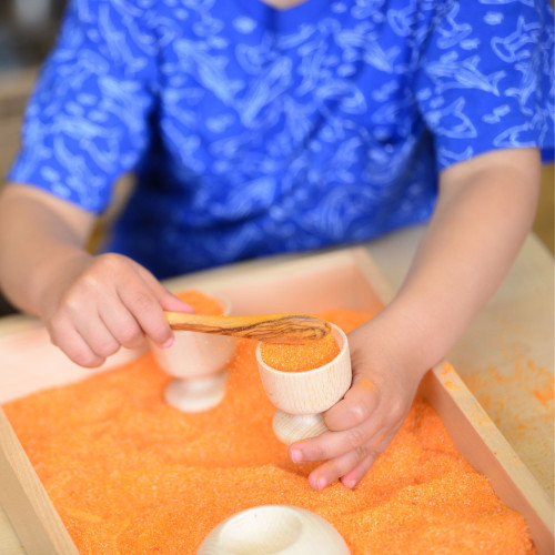 Complete Dry Sand Area 1-2yrs