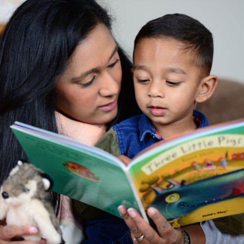 Storytelling: Three Little Pigs Going Home Discovery Bag 3-4yrs