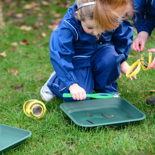 Outdoor Investigating Nature Collection
