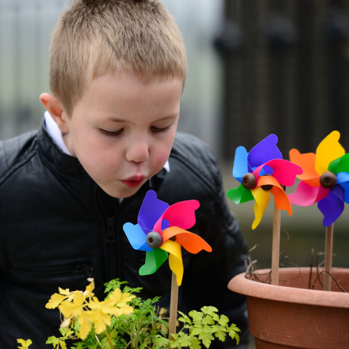Early Years Outdoor Exploring Nature