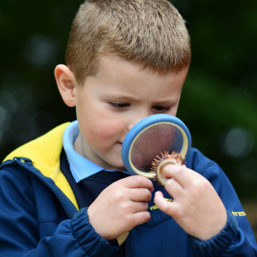 Gardening & Growing KS1 Enrichment Collection