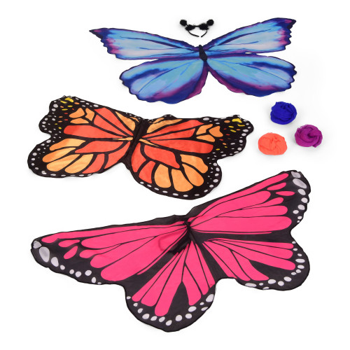 Butterfly Role Play Set