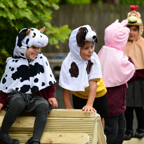 Farm Animals Role Play Set