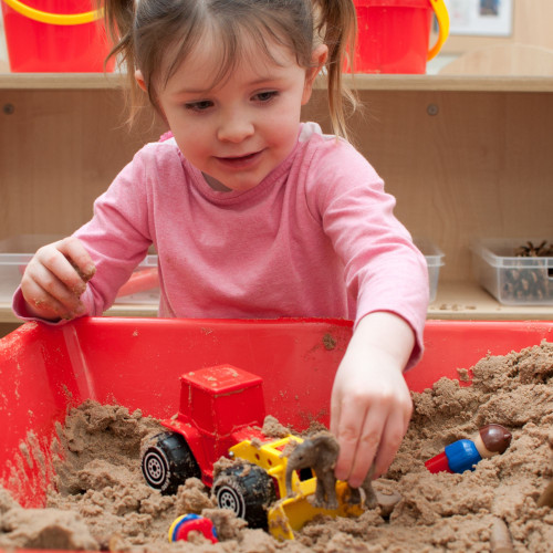 West Sand Resource Collection 2-3yrs