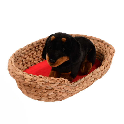 Pet Basket 