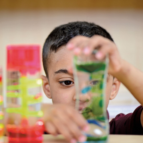 Visual and Movement Sensory Collection