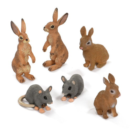 Set of Spring Woodland Animals