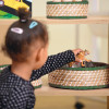 High Level Green Trim Round Basket Storage Set