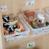 Complete Small World Real Life Area 4-5yrs