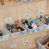 Complete Small World Real Life Area 4-5yrs
