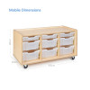 Mobile Tray Storage Unit (3 Shallow/6 Medium Trays)