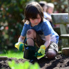 Gardening & Growing Resource Collection 3-7yrs