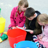 Set of Coloured Trugs