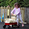 Transport and Building Blocks Collection 2-3yrs