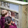 Minibeast Bug Hotel