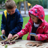 Outdoor KS1 Enrichment Collections Area