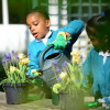 Set of Watering Cans