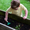Gardening & Growing Resource Collection 2-3yrs