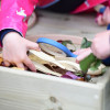 Gardening & Growing KS1 Enrichment Collection