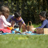Role Play Picnic Collection