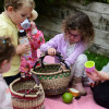 Picnic Role Play Resource Collection 2-3yrs