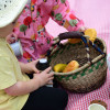 Picnic Role Play Resource Collection 2-3yrs