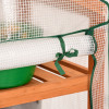 Wooden Greenhouse with Storage Set
