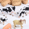 Small World Real Life Resource Collection 4-5yrs