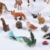 Small World Real Life Resource Collection 4-5yrs