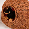 Pet Carrier