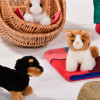 Set of Role Play Pets