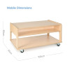 Mobile Resource Trolley Low
