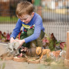 Set of Natural Logs, Poles & Stones