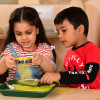 Set of Green Square Trays