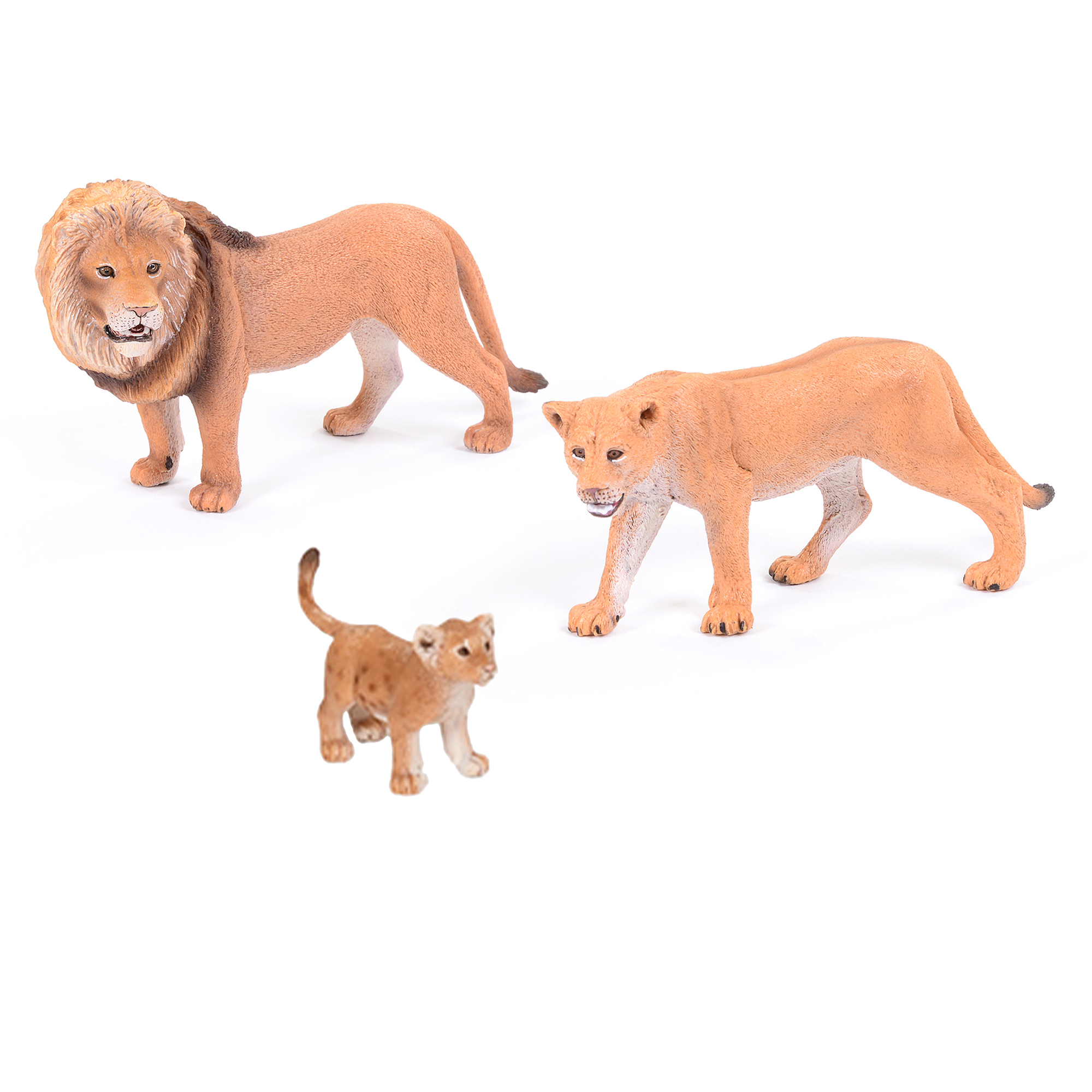 Lion Family Set