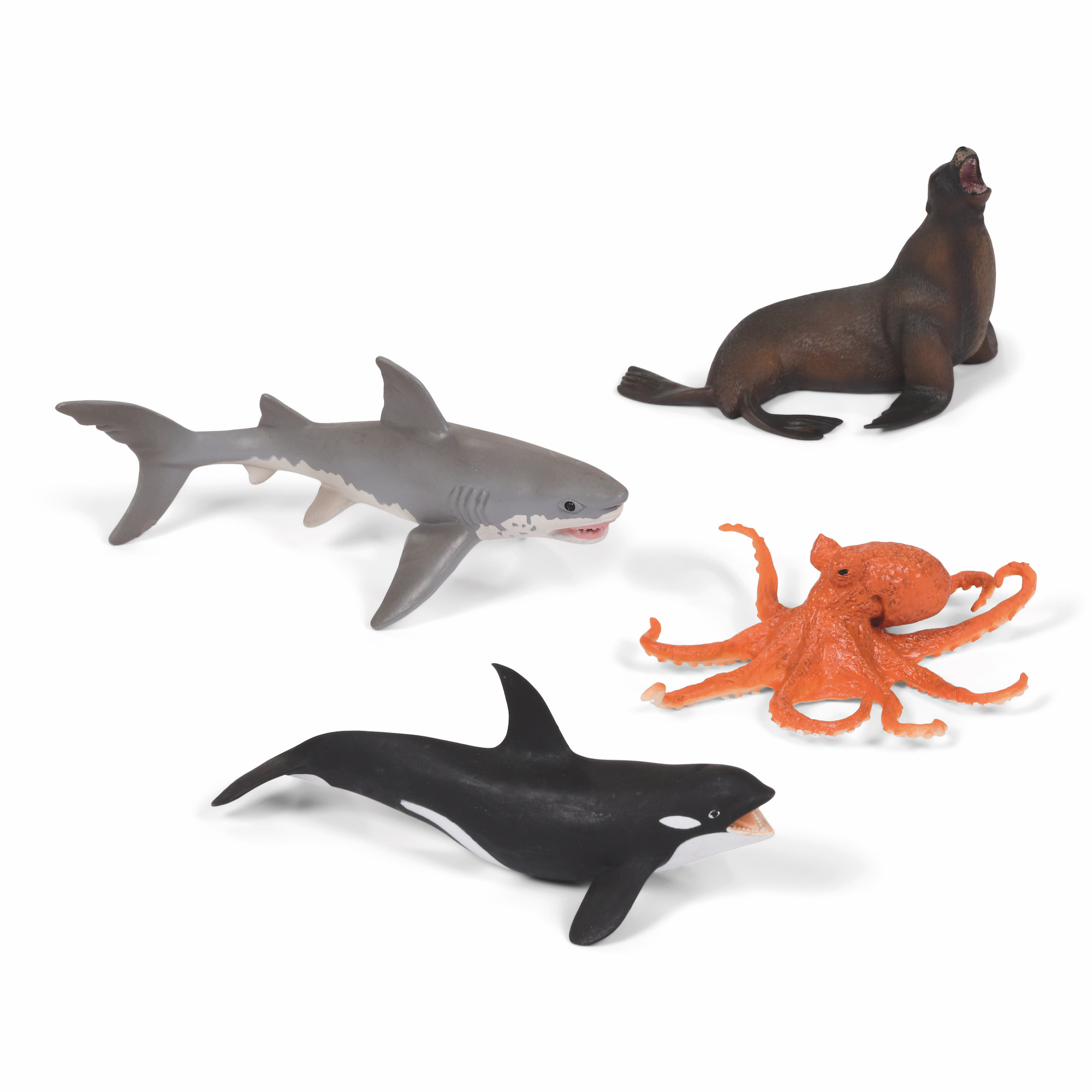 Sea Creatures Starter Set